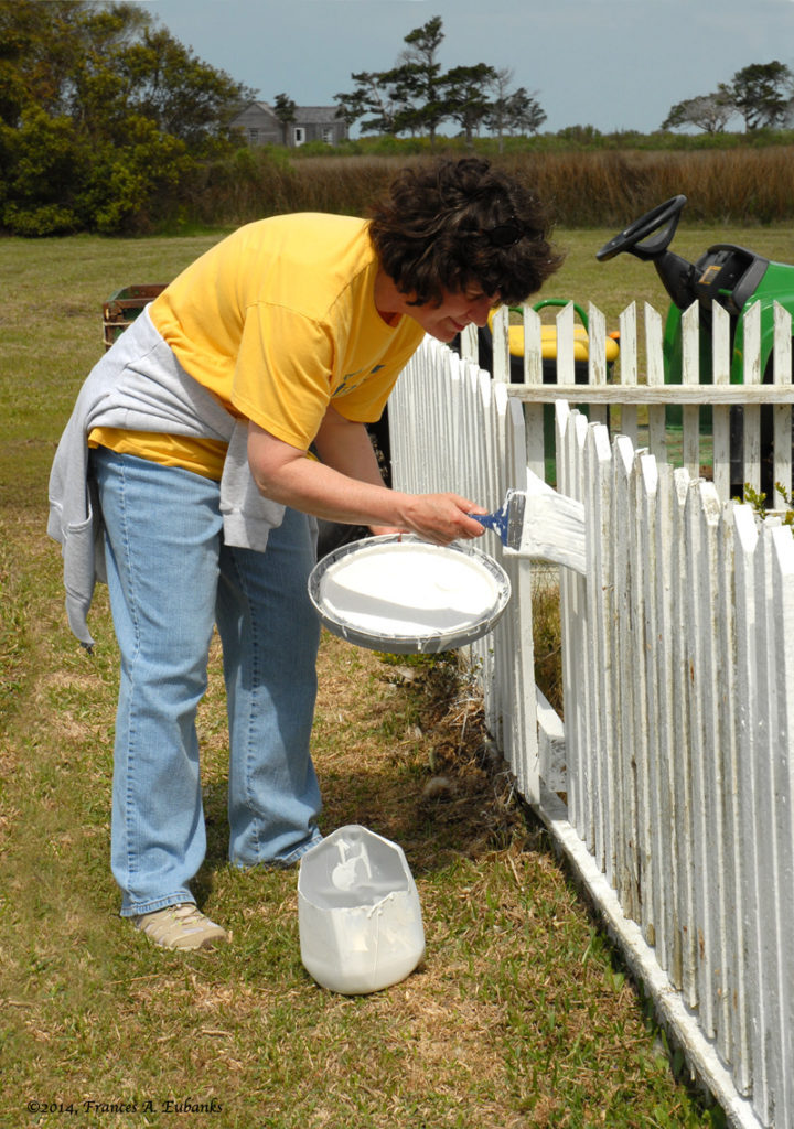FPI Volunteer Paints Fence